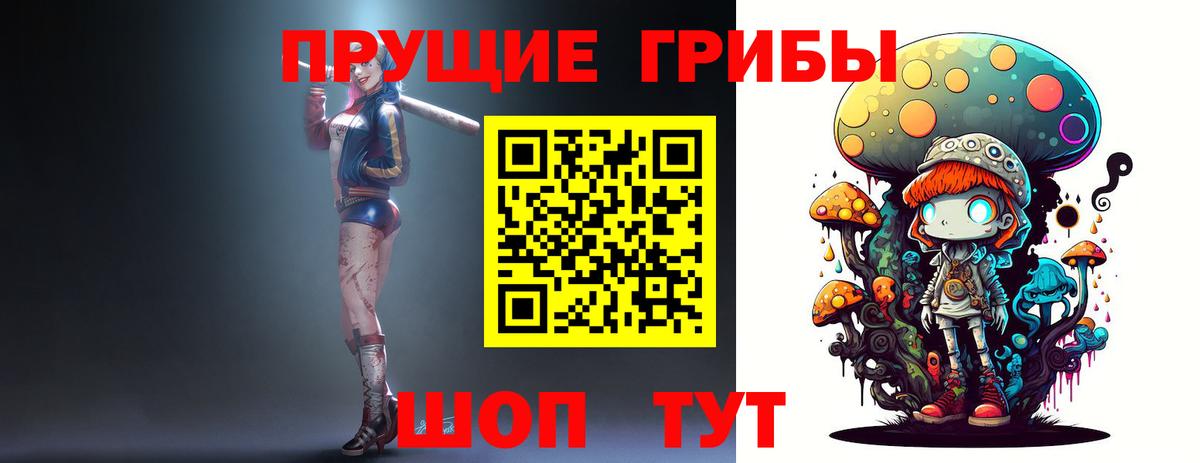 Псилоцибиновые грибы Cubensis Балтийск